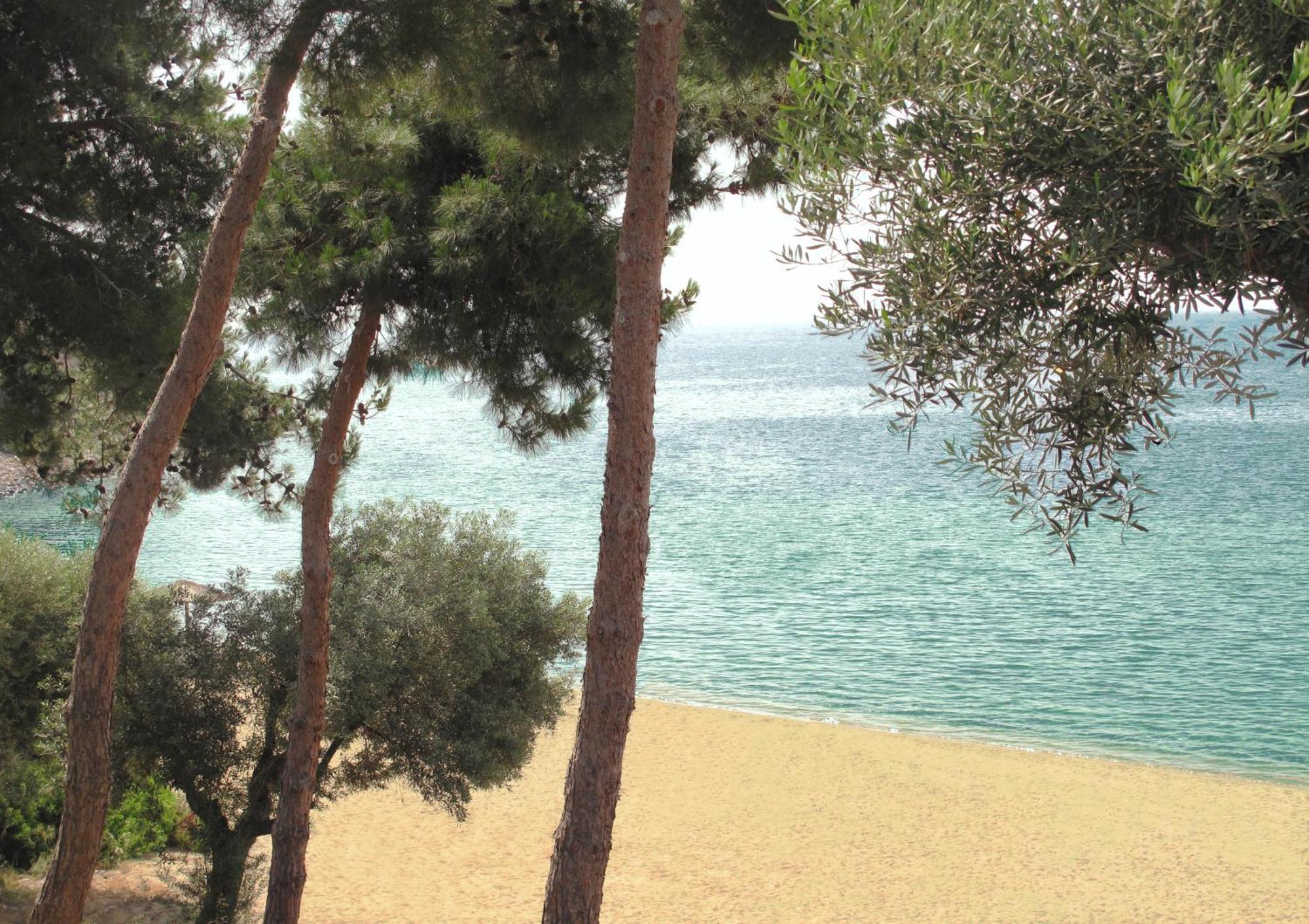Trikorfo Beach Jerakiní Kültér fotó