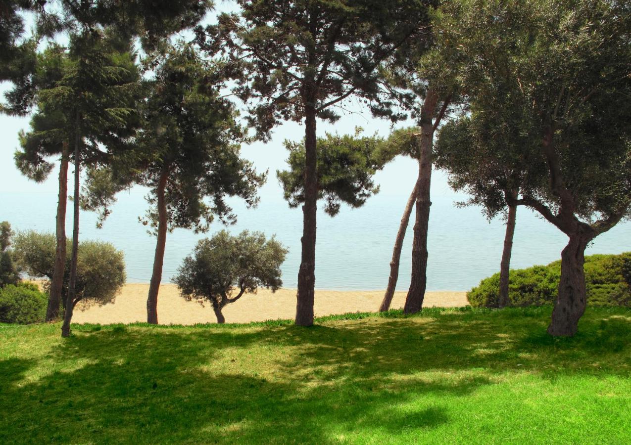 Trikorfo Beach Jerakiní Kültér fotó